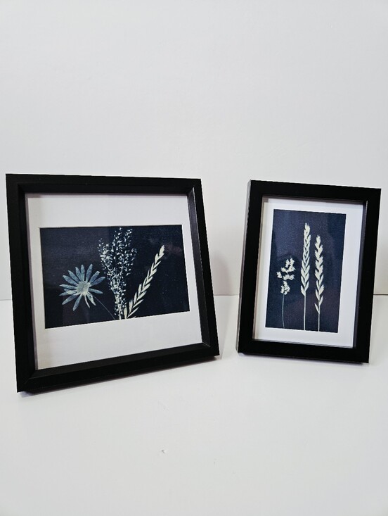 Handmade Other - Handmade Original Cyanotype Botanical Art Framed Set Prairie Grasses Floral